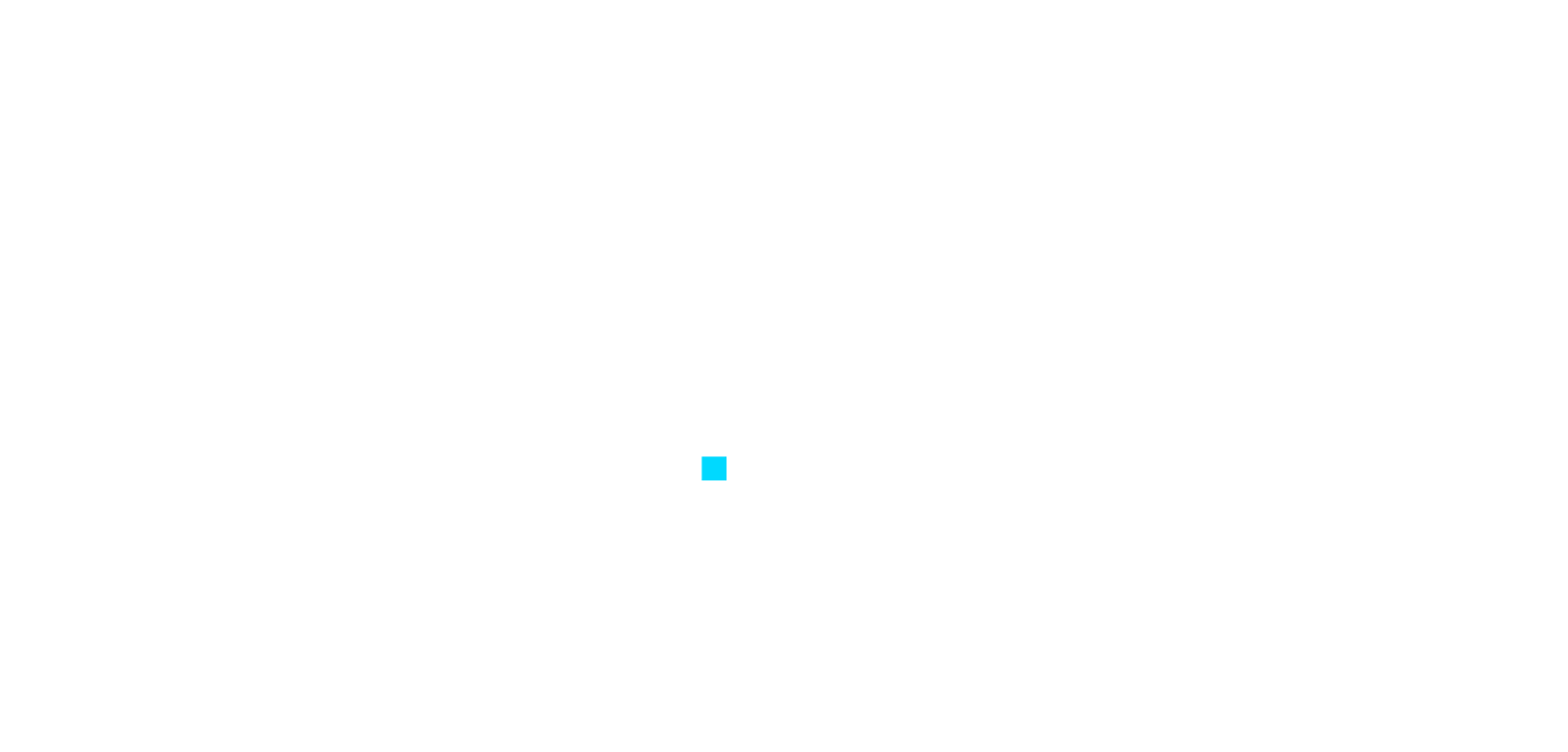 Logo online.zahranichnicasina.cz